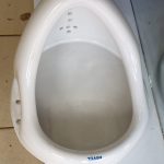 Urinal Bowl