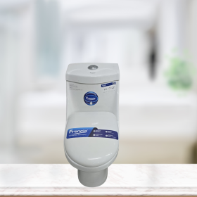 Frencia One Body Toilet