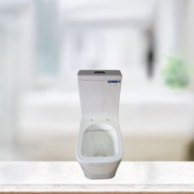 Frencia Close Couple Toilet