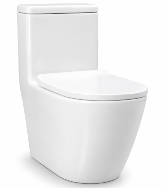 Homart One Piece Toilet