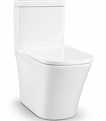 Homart One Piece Toilet