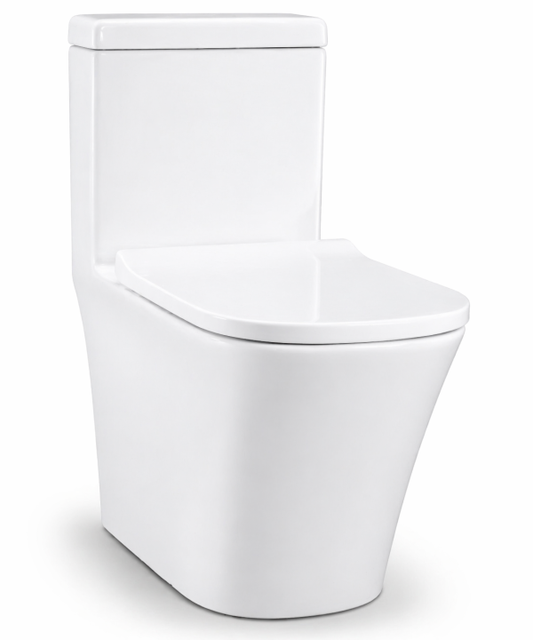 Homart One Piece Toilet